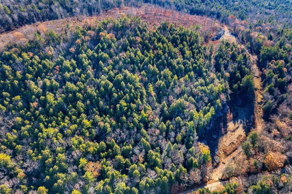 375 New Canada Road Danbury NH 03230