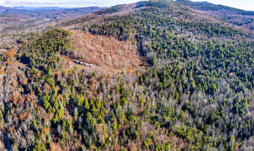 375 New Canada Road Danbury NH 03230