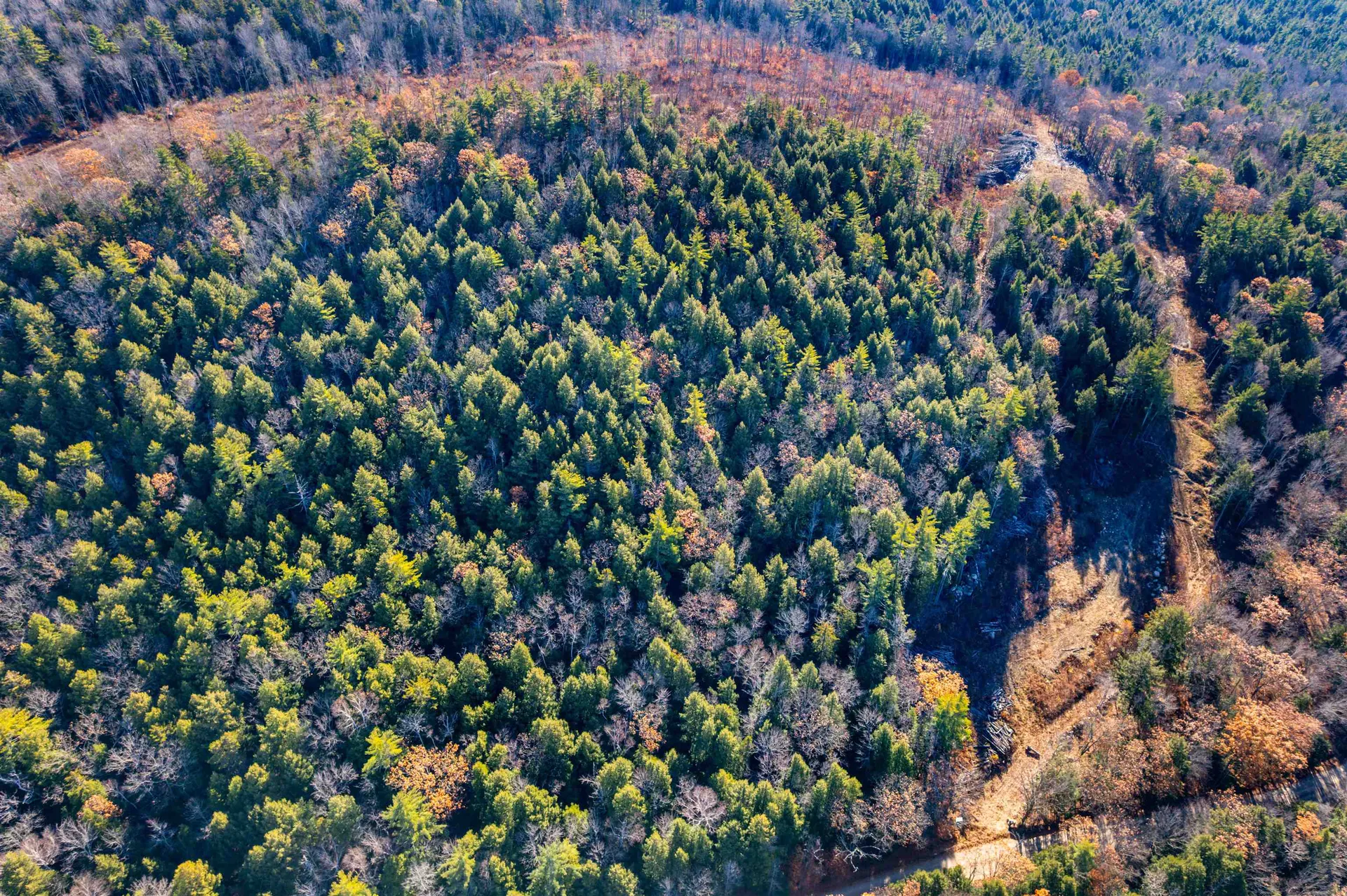 375 New Canada Road Danbury NH 03230