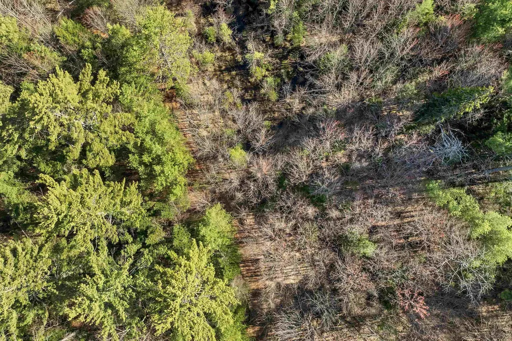 00 Middle Road Sandwich NH 03227