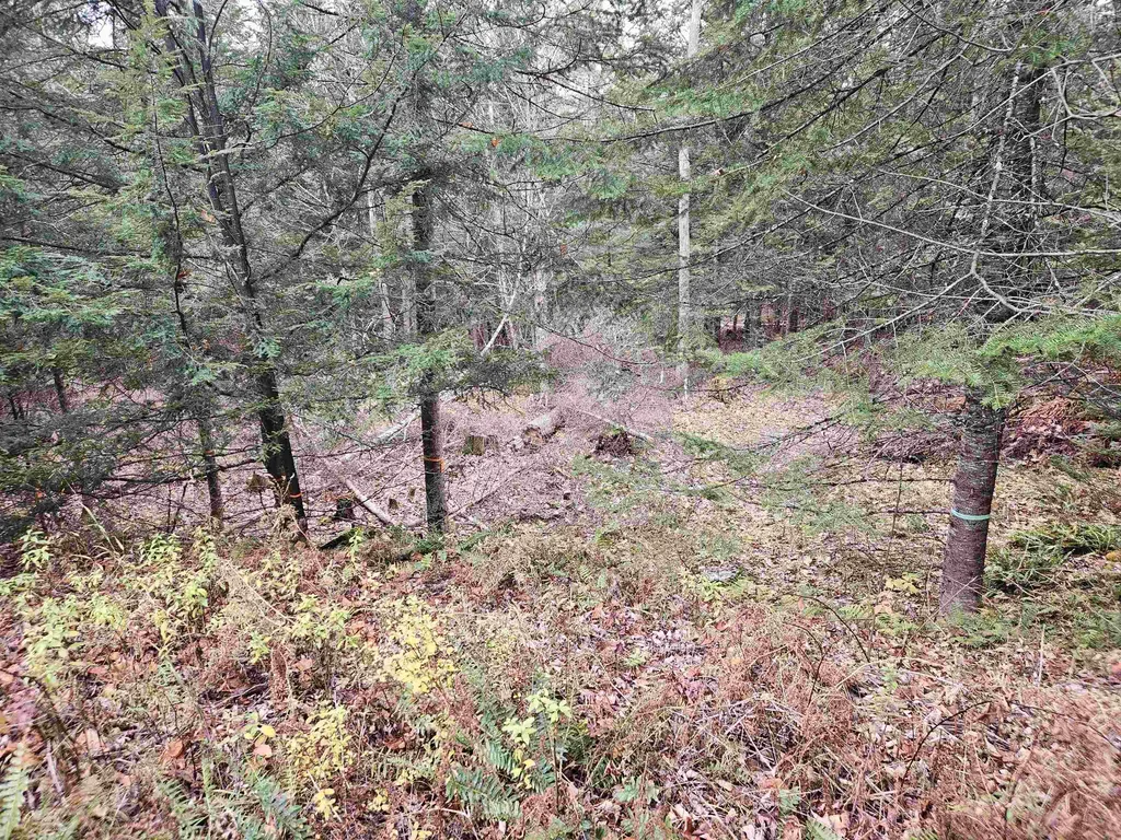 35 Langway Road Lyman NH 03585