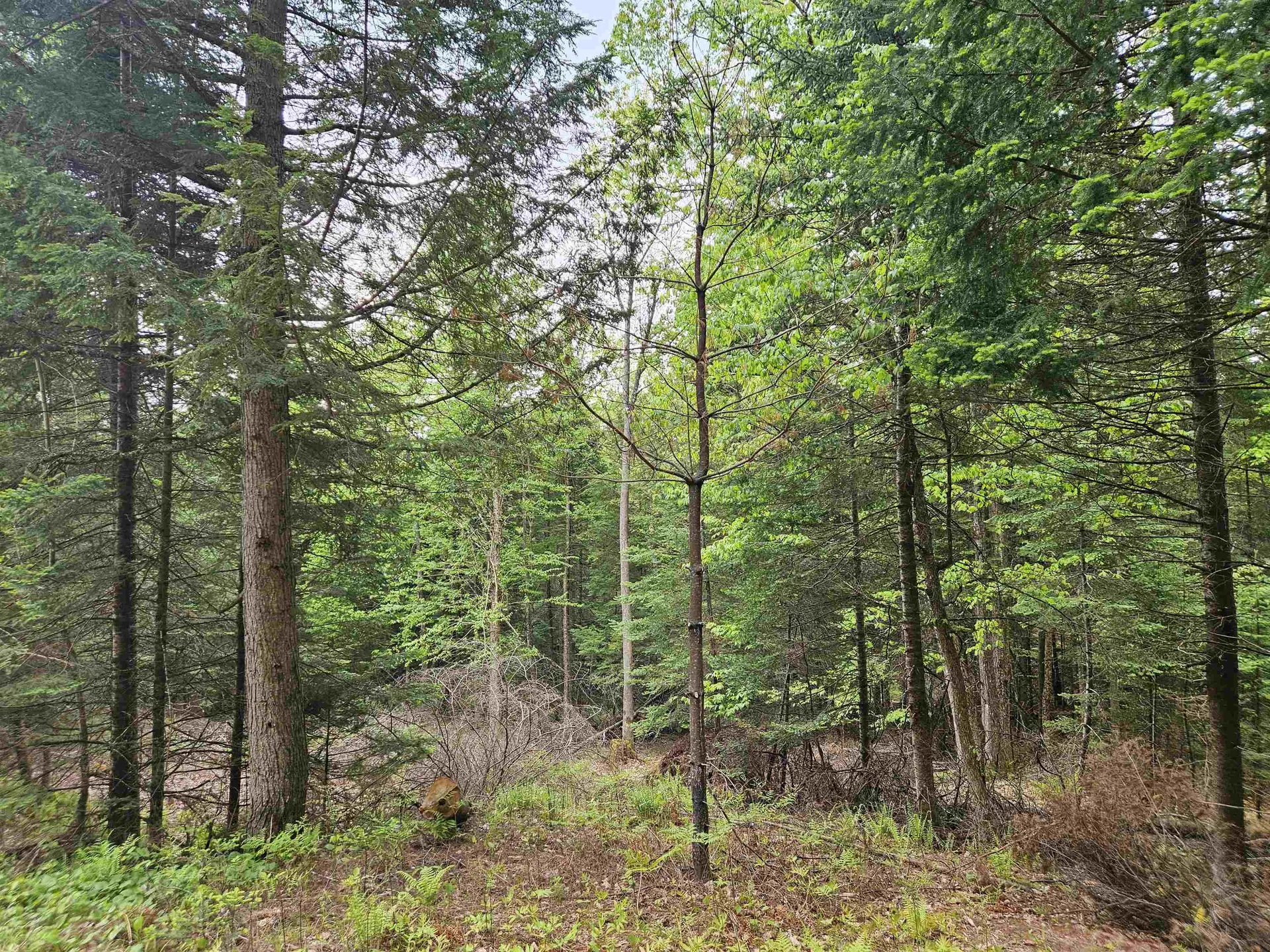 35 Langway Road Lyman NH 03585