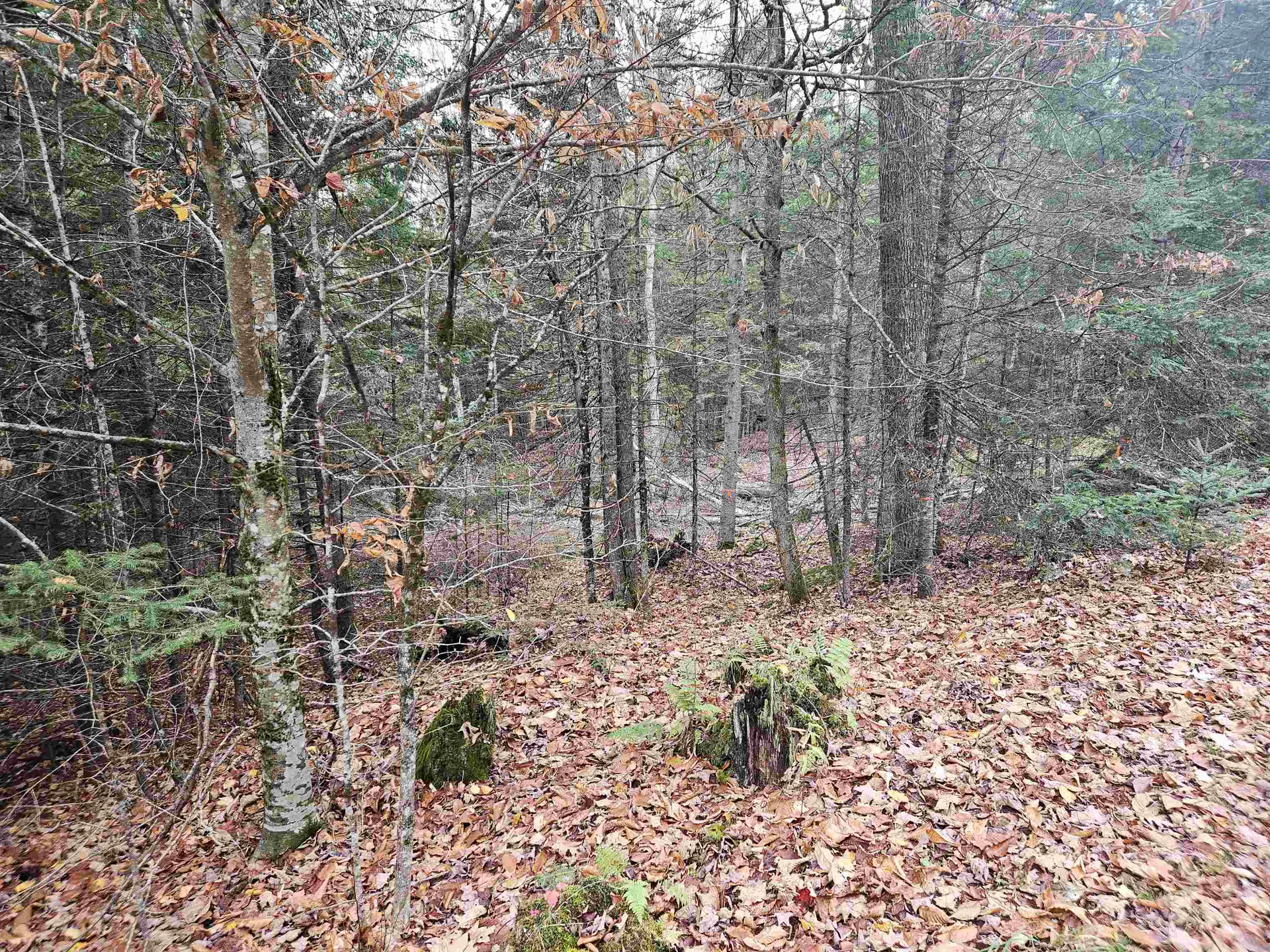 35 Langway Road Lyman NH 03585