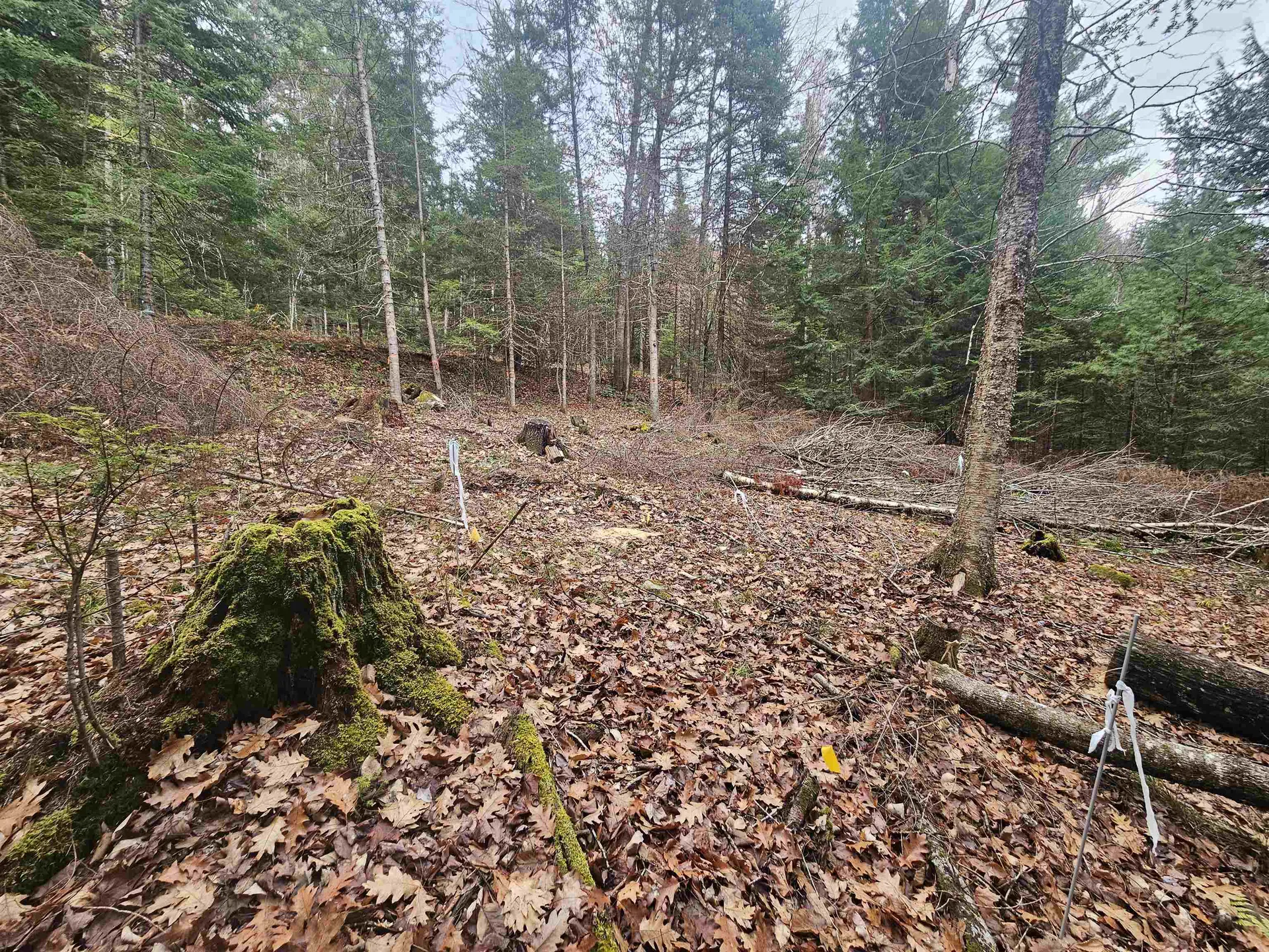 35 Langway Road Lyman NH 03585