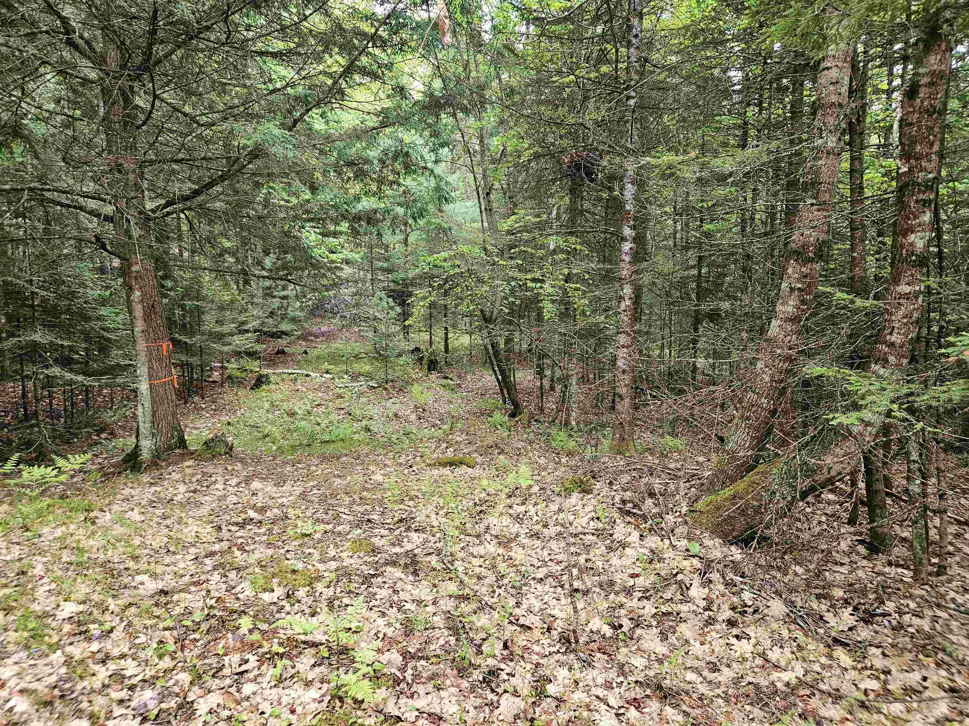 35 Langway Road Lyman NH 03585
