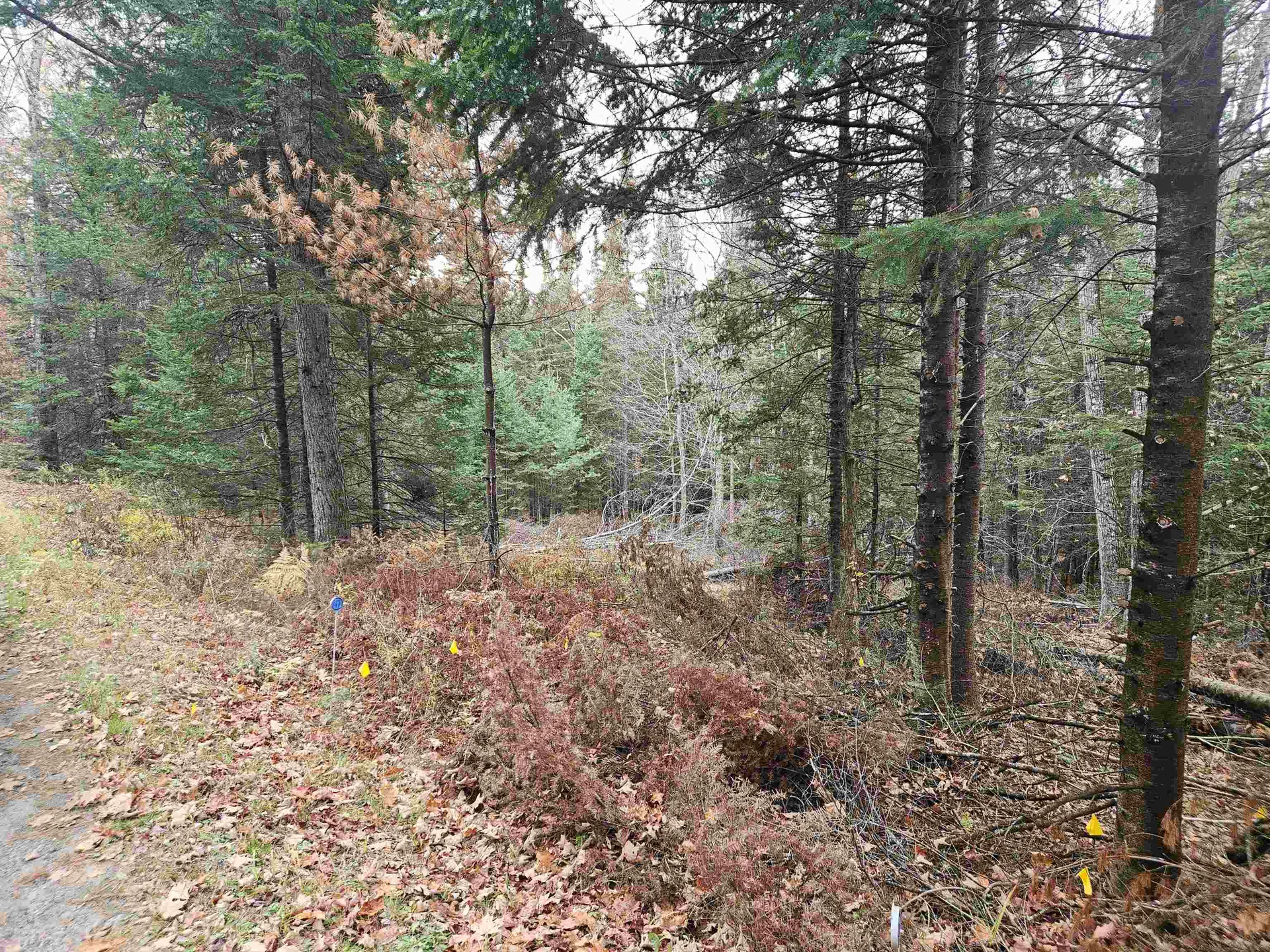 35 Langway Road Lyman NH 03585