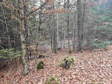 35 Langway Road Lyman NH 03585