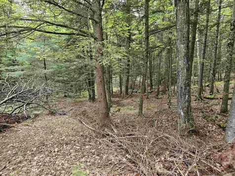 35 Langway Road Lyman NH 03585