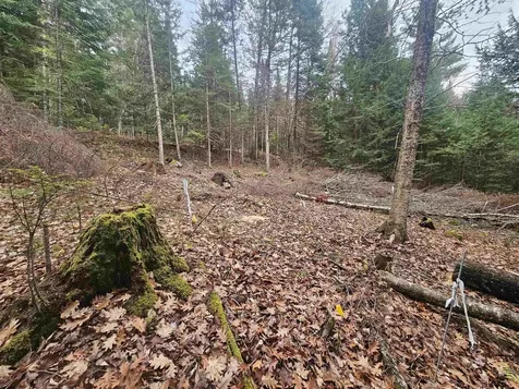 35 Langway Road Lyman NH 03585