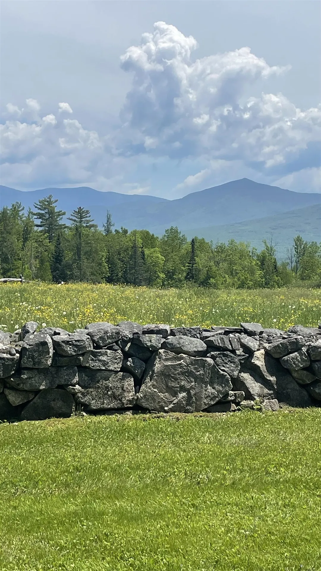102 Skyline Drive Franconia NH 03580