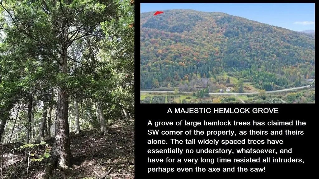 92 Bishop Brook Road Stewartstown NH 03576