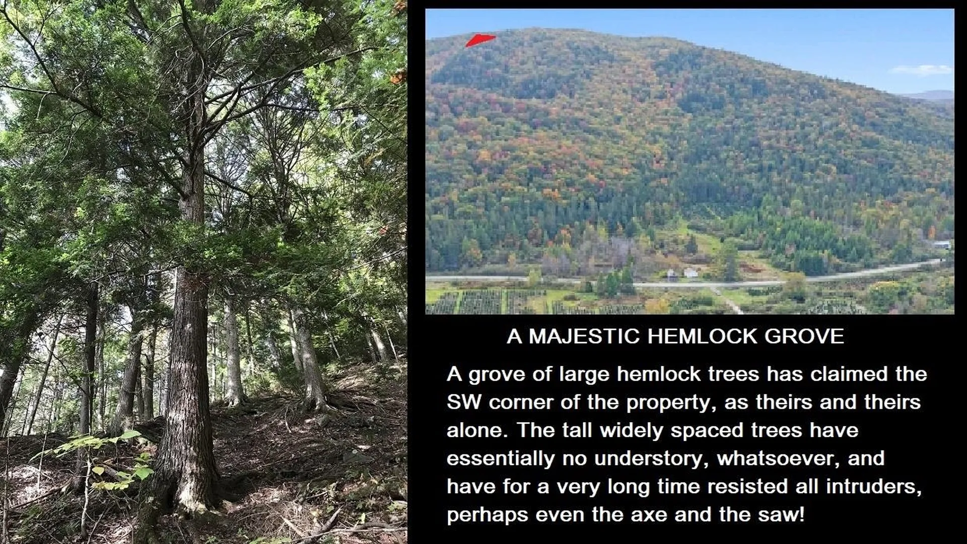 92 Bishop Brook Road Stewartstown NH 03576