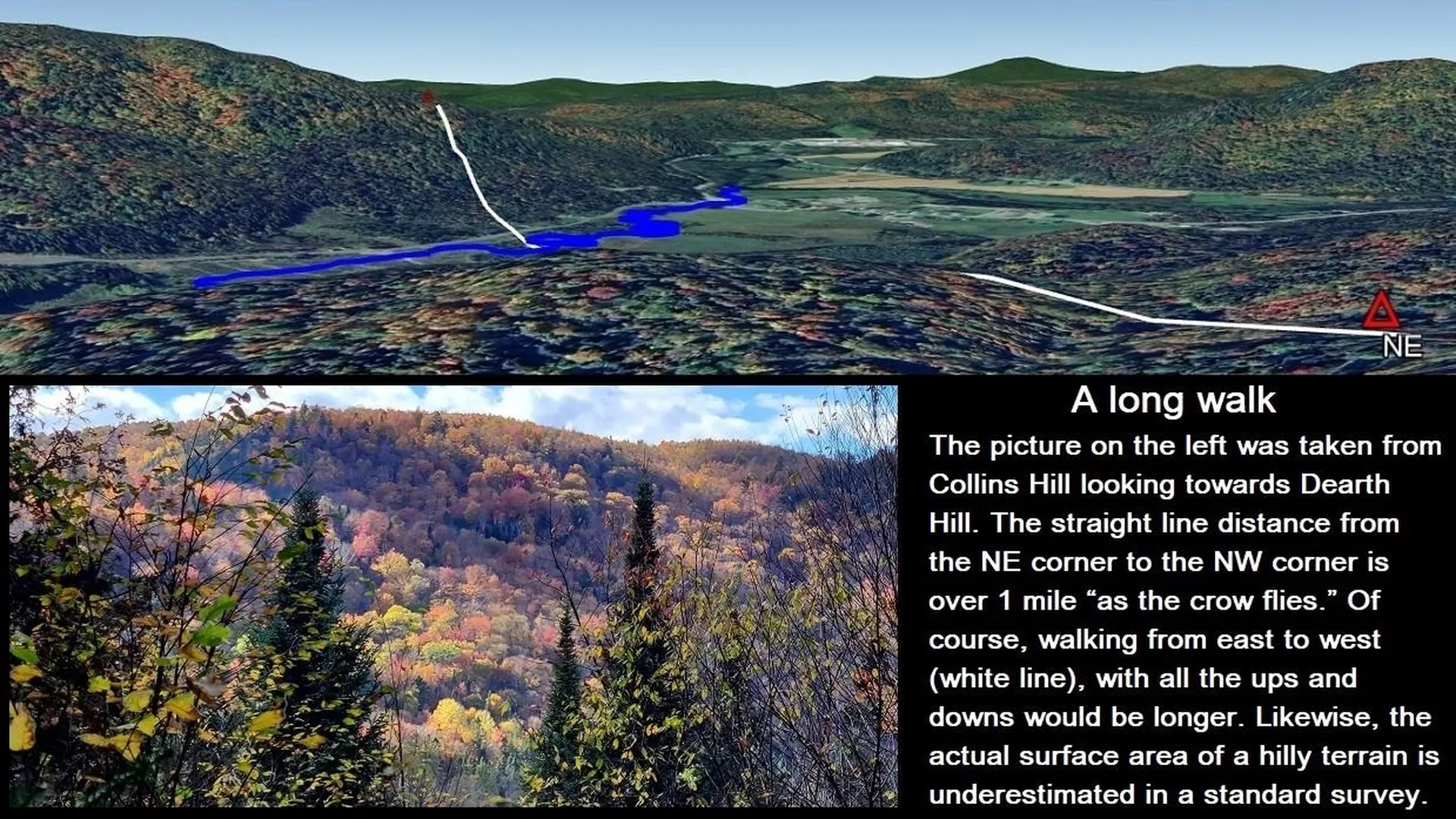 92 Bishop Brook Road Stewartstown NH 03576