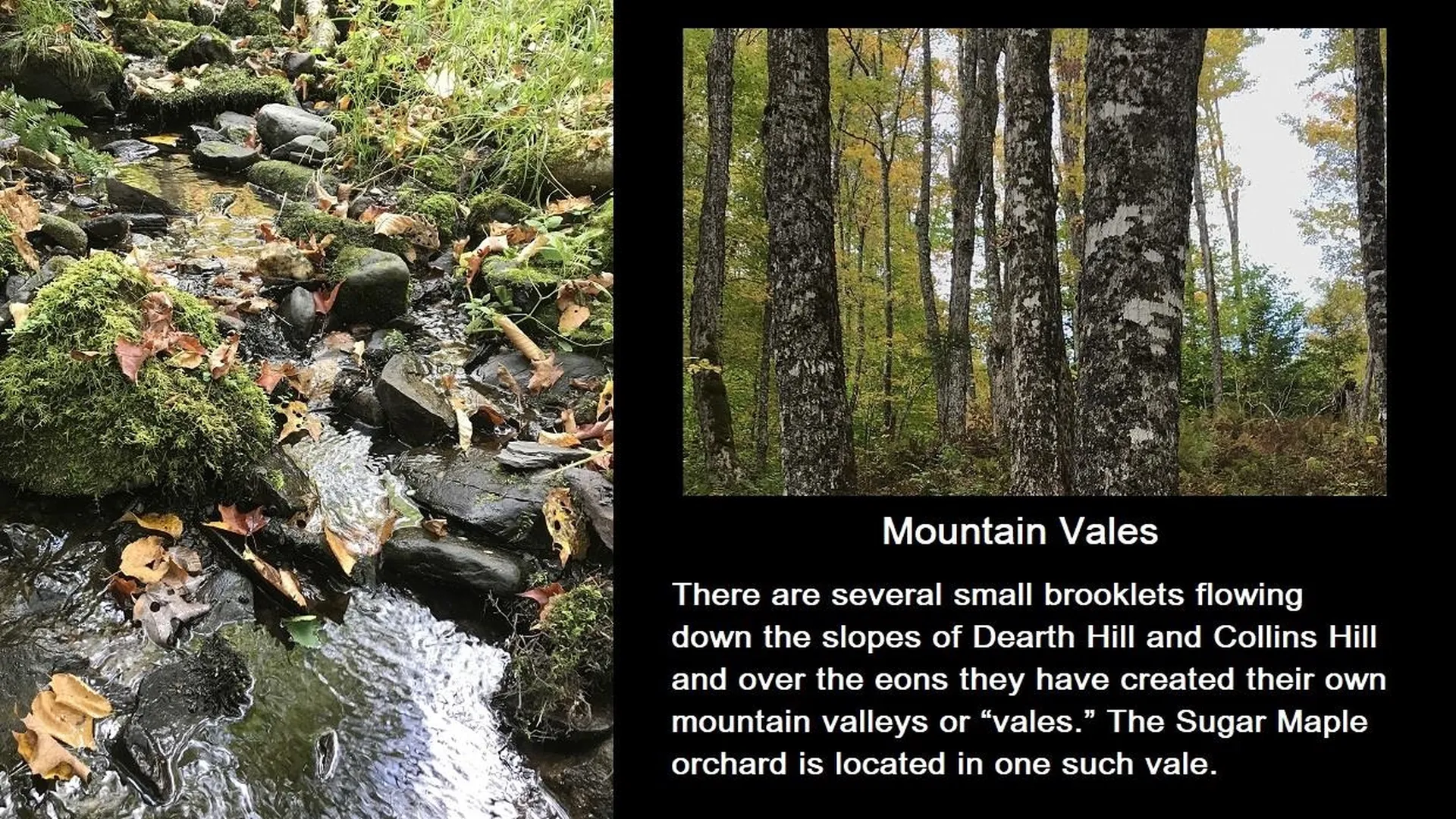 92 Bishop Brook Road Stewartstown NH 03576