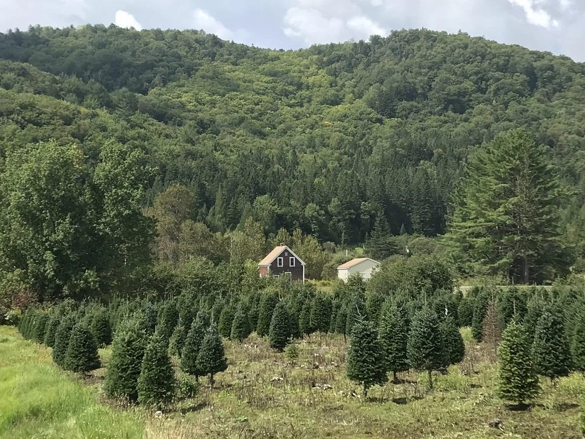 92 Bishop Brook Road Stewartstown NH 03576