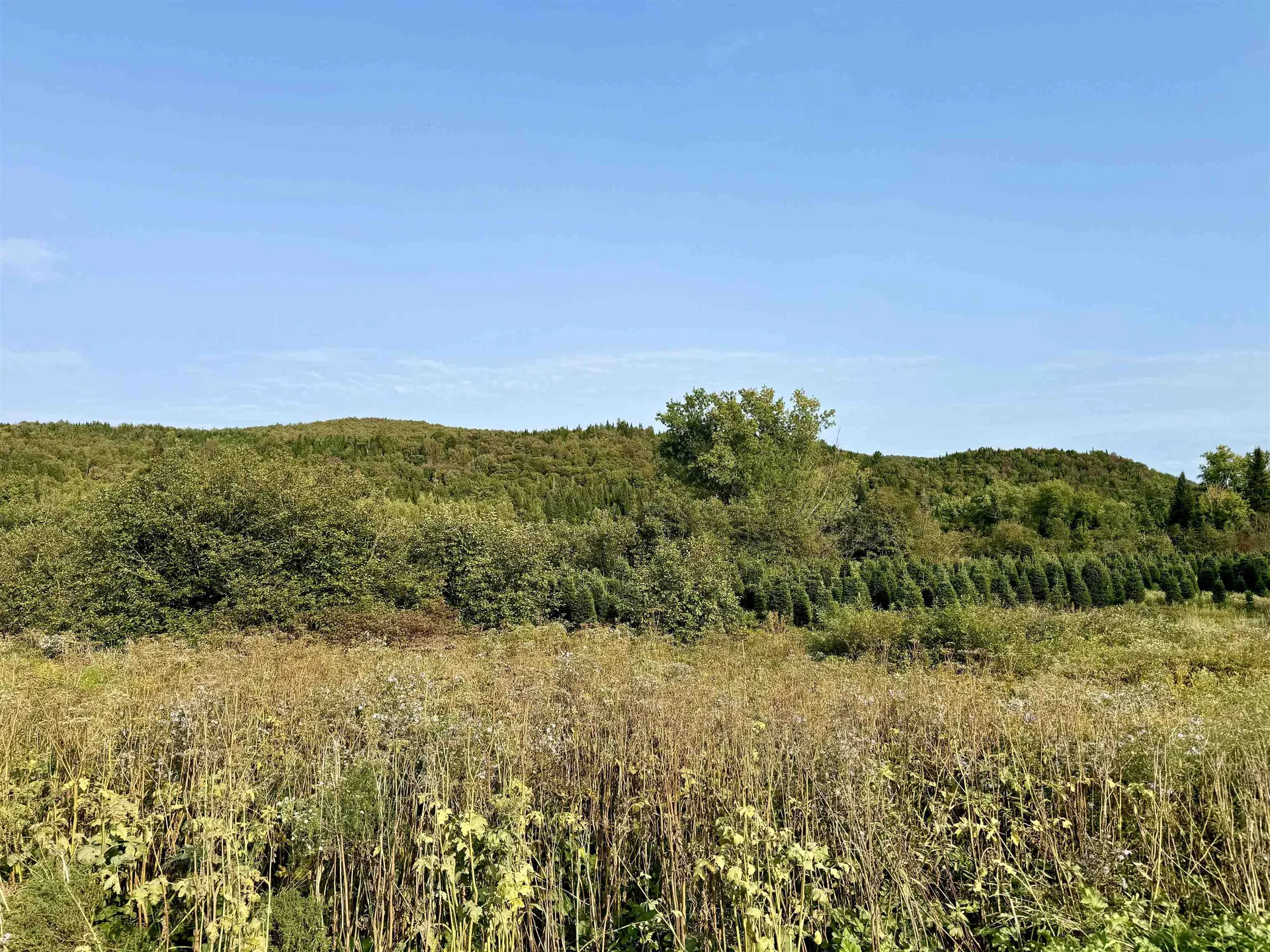 92 Bishop Brook Road Stewartstown NH 03576