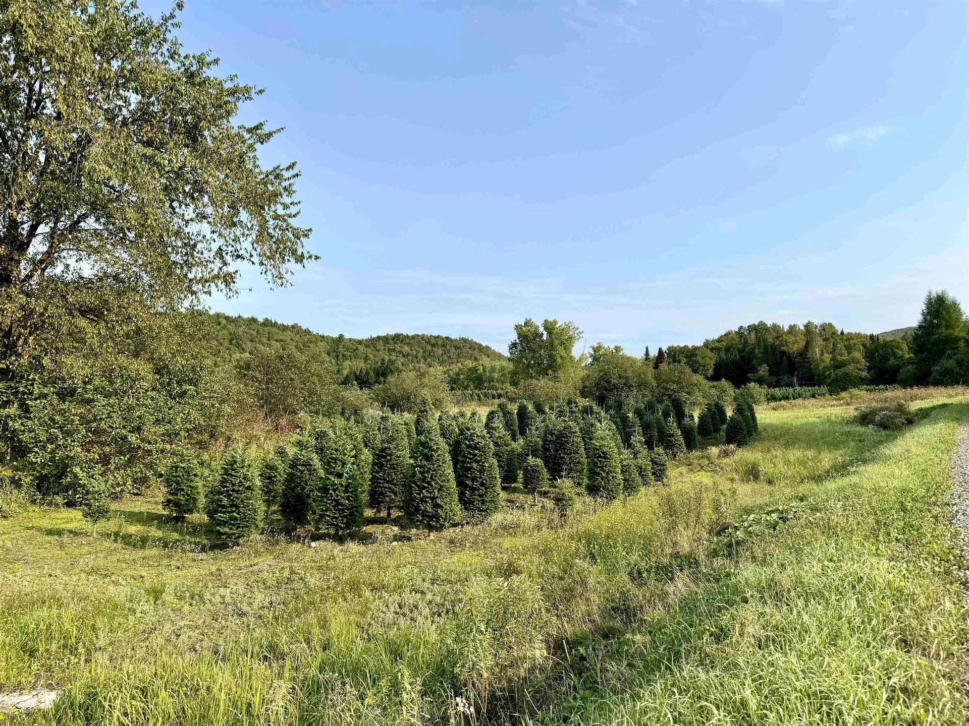 92 Bishop Brook Road Stewartstown NH 03576