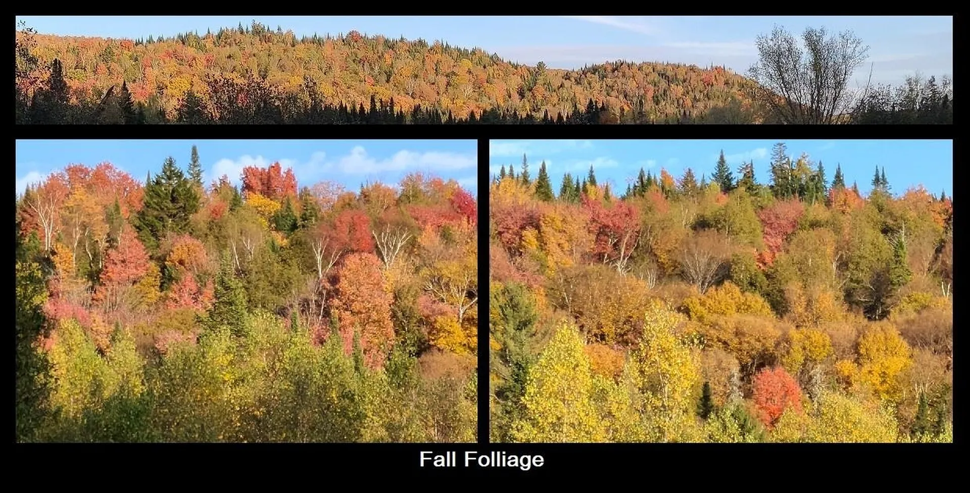 92 Bishop Brook Road Stewartstown NH 03576