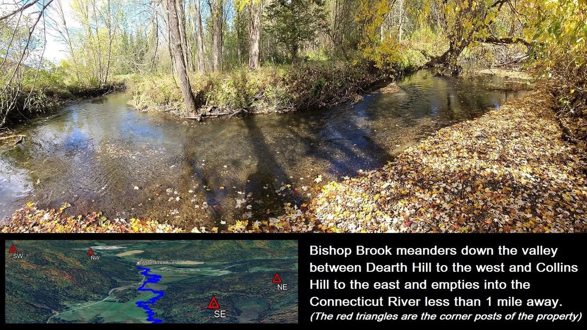 92 Bishop Brook Road Stewartstown NH 03576