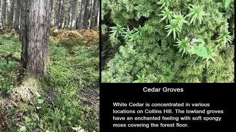 92 Bishop Brook Road Stewartstown NH 03576