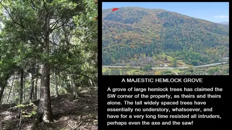 92 Bishop Brook Road Stewartstown NH 03576