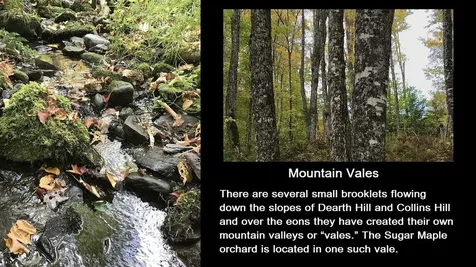 92 Bishop Brook Road Stewartstown NH 03576