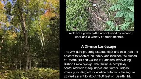 92 Bishop Brook Road Stewartstown NH 03576