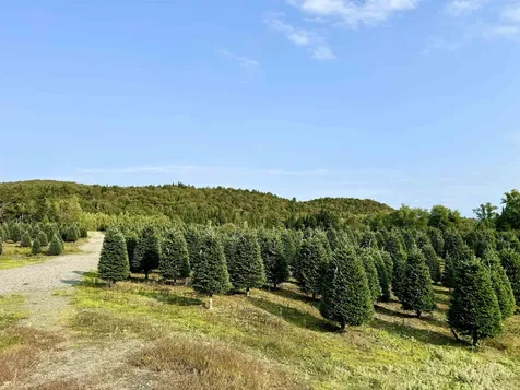 92 Bishop Brook Road Stewartstown NH 03576