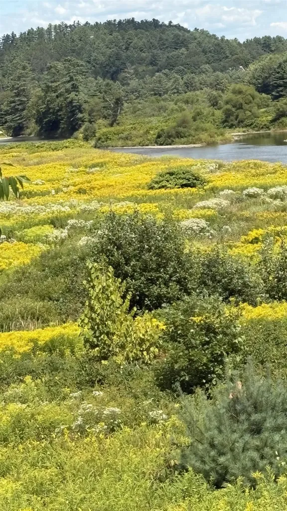 610 Bishop Road Lisbon NH 03585