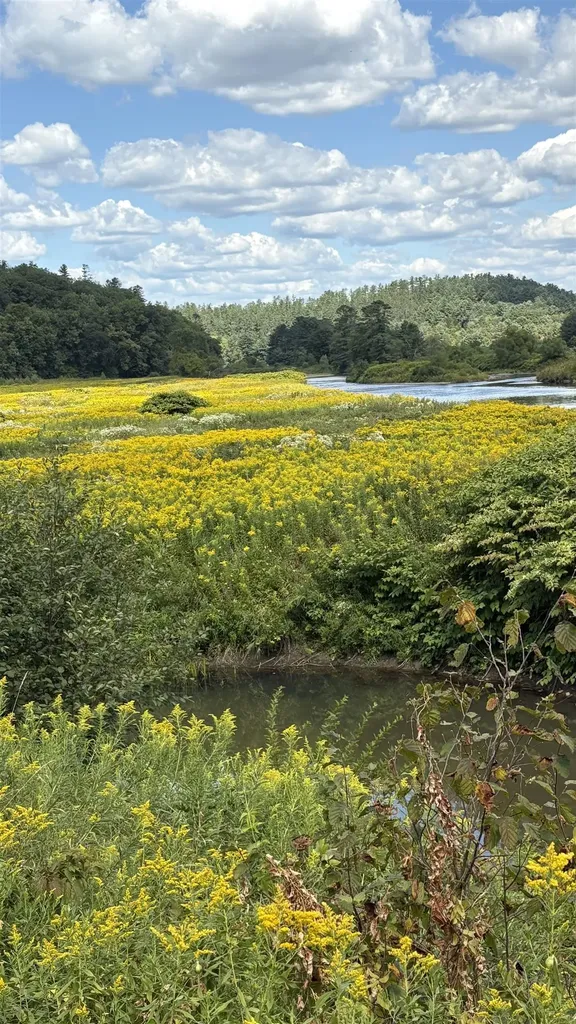 610 Bishop Road Lisbon NH 03585