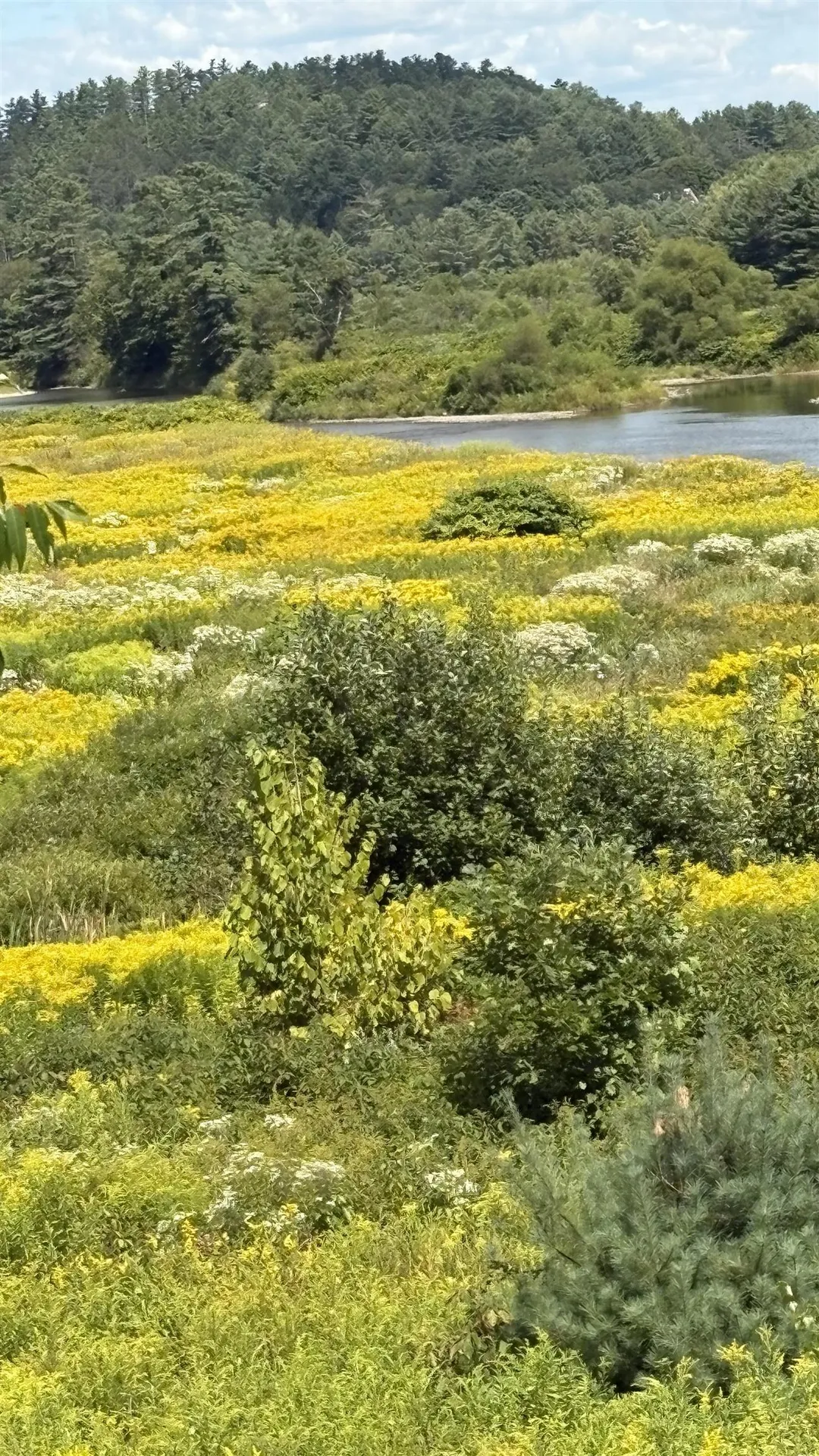 610 Bishop Road Lisbon NH 03585