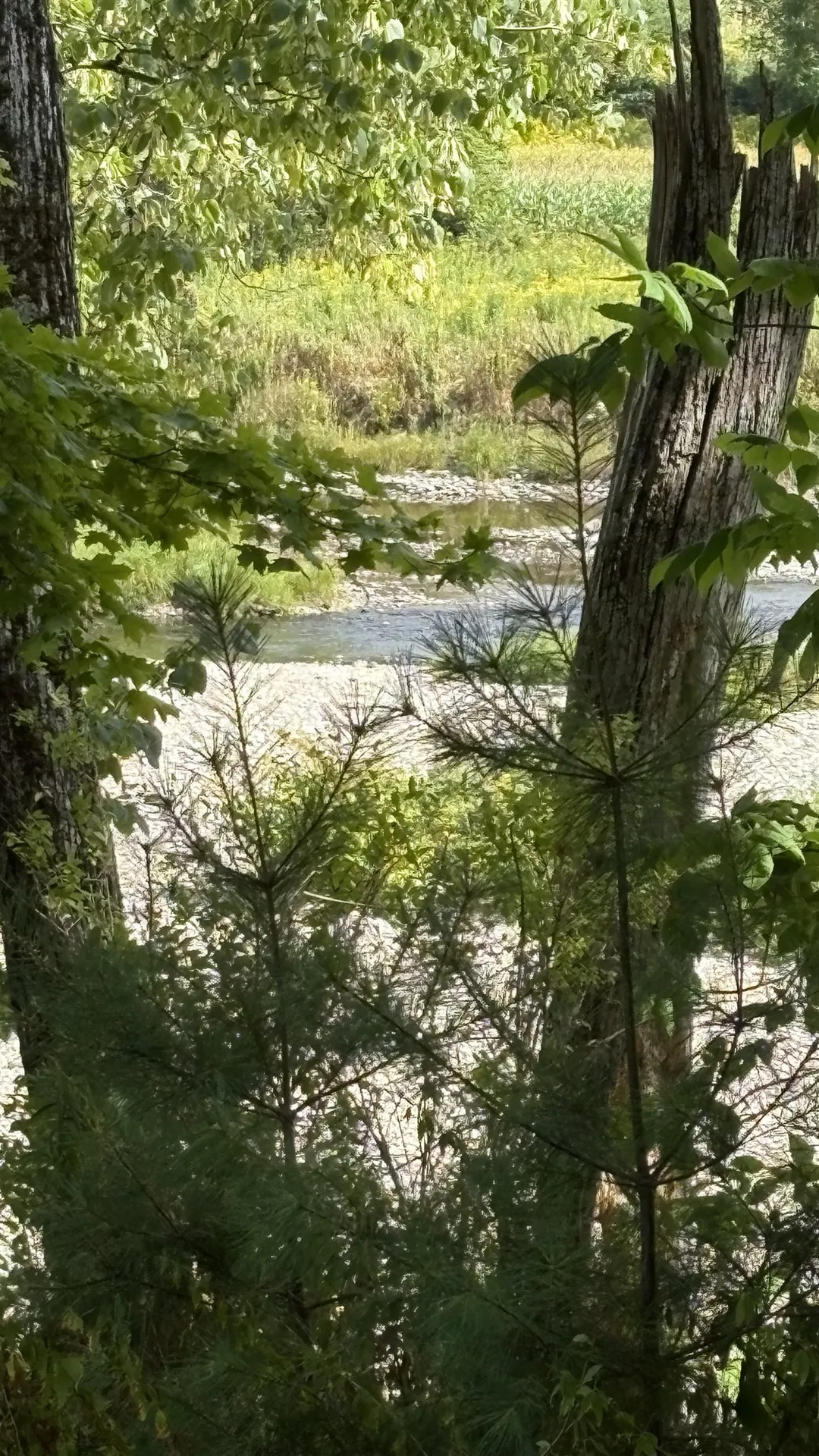 610 Bishop Road Lisbon NH 03585