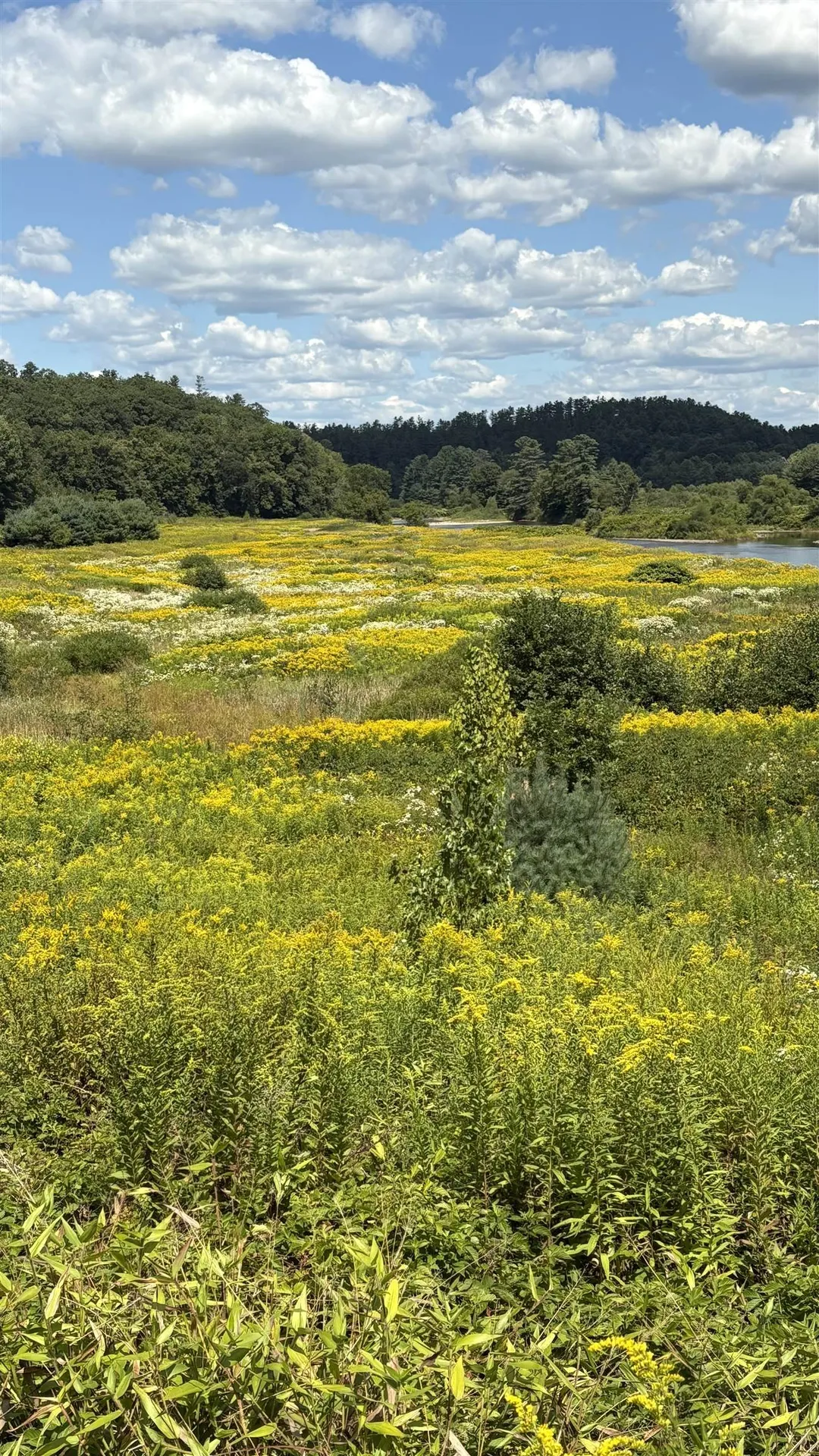 610 Bishop Road Lisbon NH 03585