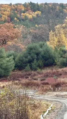 610 Bishop Road Lisbon NH 03585