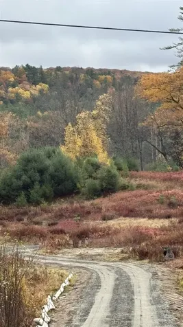 610 Bishop Road Lisbon NH 03585