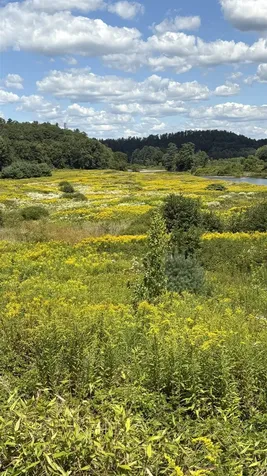 610 Bishop Road Lisbon NH 03585