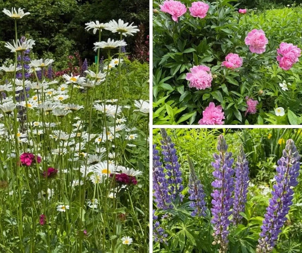 255 Mud Pond Road Williston VT 05495