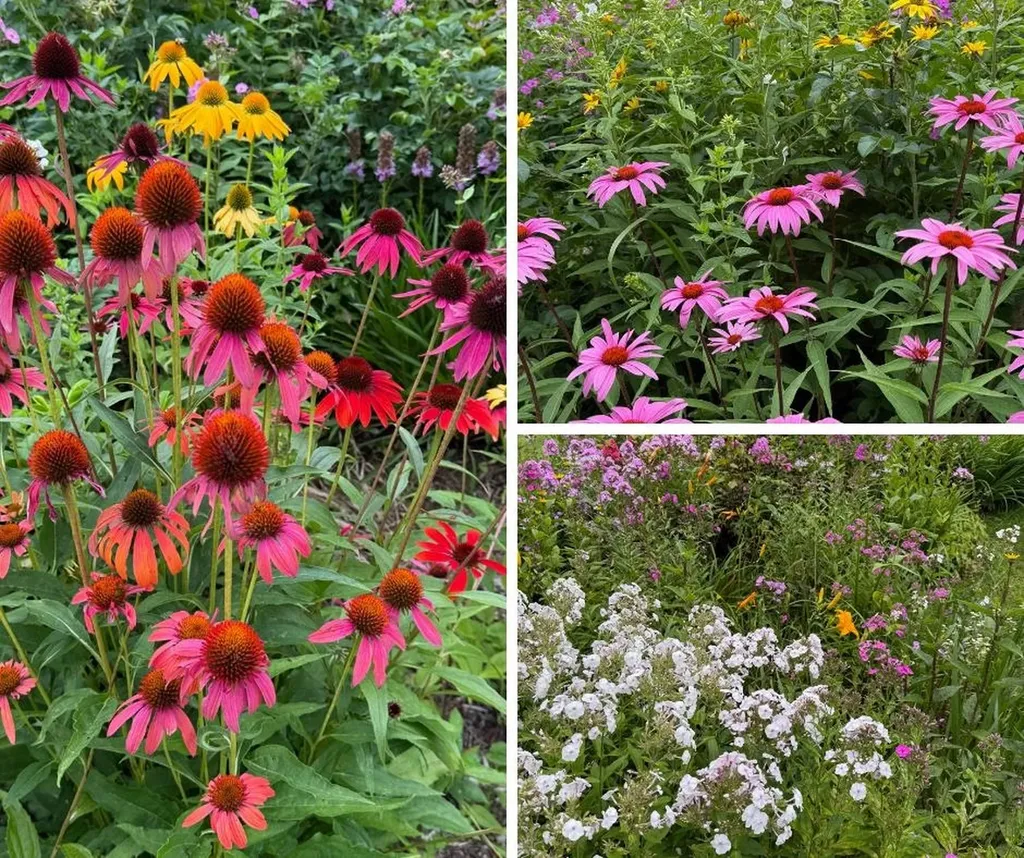 255 Mud Pond Road Williston VT 05495