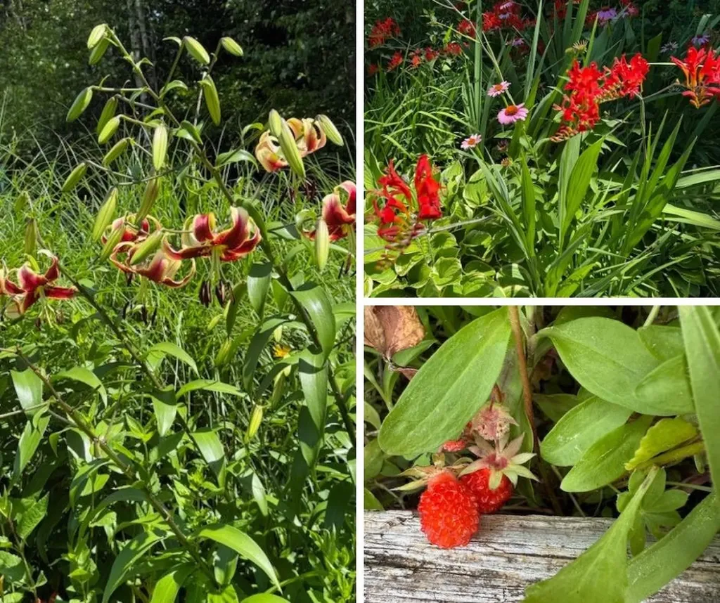 255 Mud Pond Road Williston VT 05495