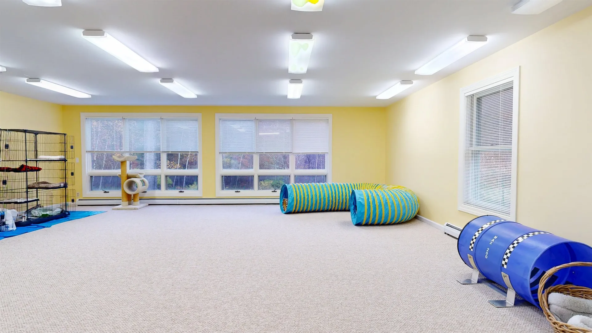 255 Mud Pond Road Williston VT 05495