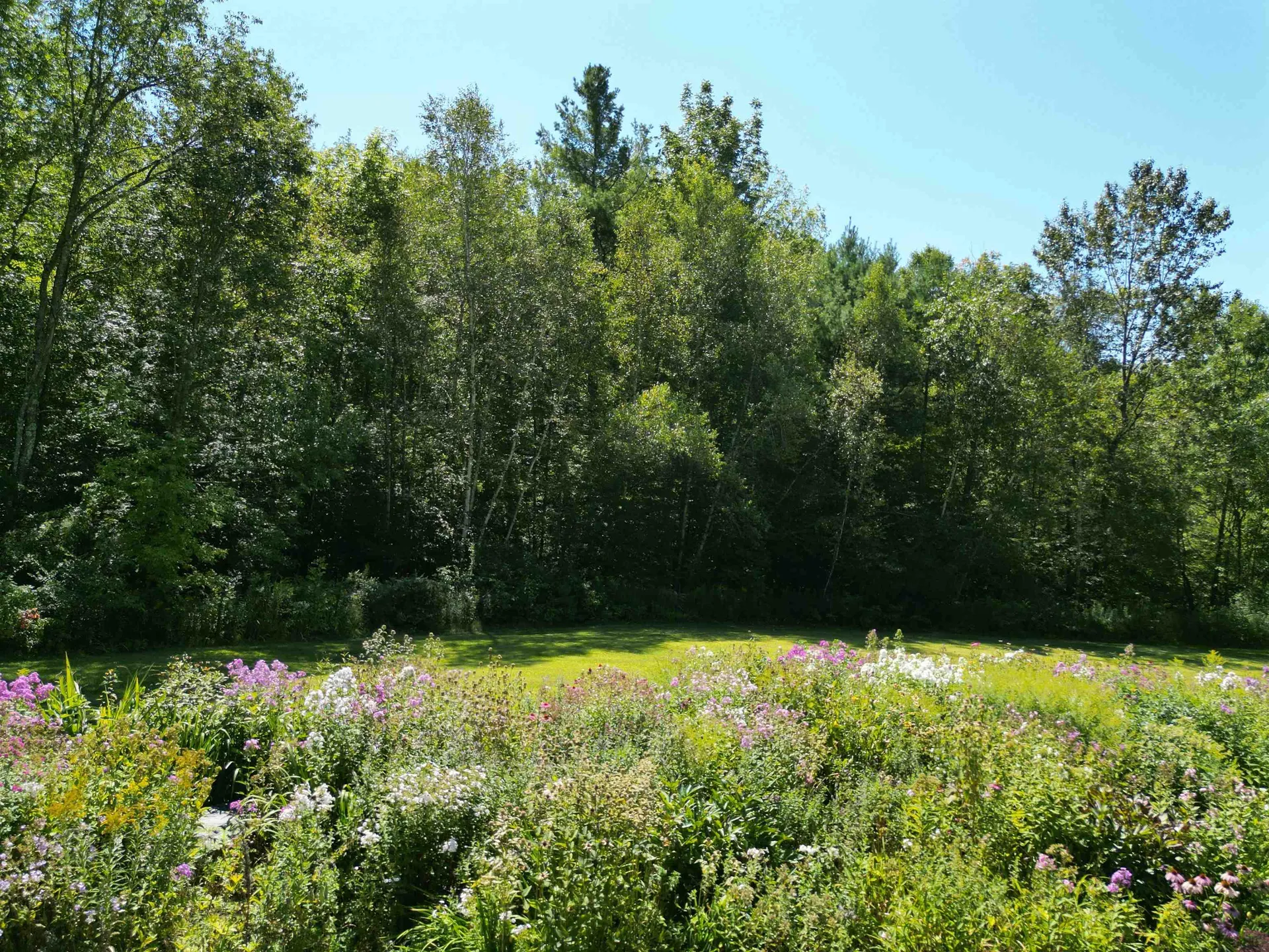 255 Mud Pond Road Williston VT 05495