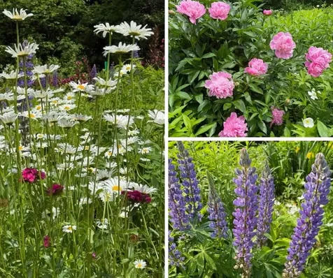 255 Mud Pond Road Williston VT 05495