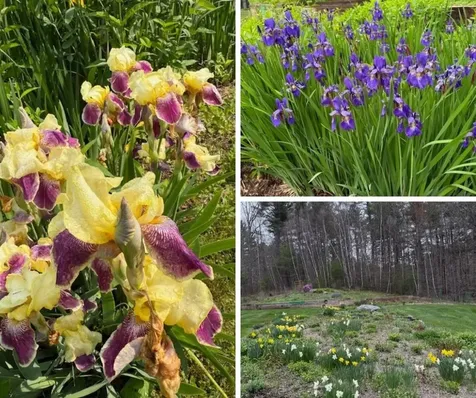 255 Mud Pond Road Williston VT 05495