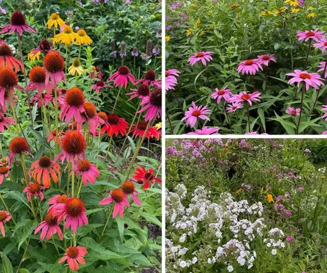 255 Mud Pond Road Williston VT 05495