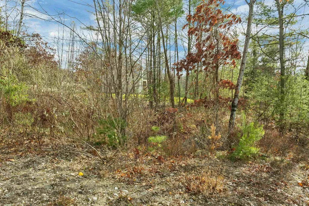 7 Lady Slipper Lane Moultonborough NH 03254