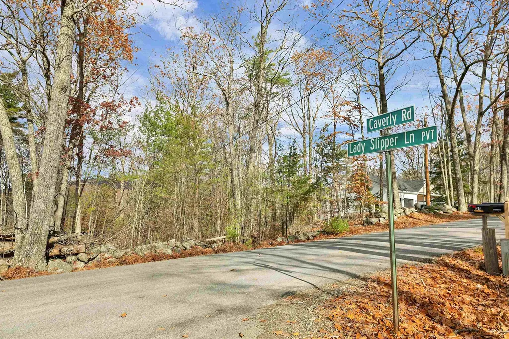 7 Lady Slipper Lane Moultonborough NH 03254