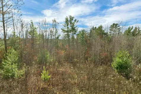 7 Lady Slipper Lane Moultonborough NH 03254