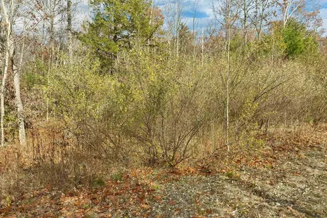 7 Lady Slipper Lane Moultonborough NH 03254