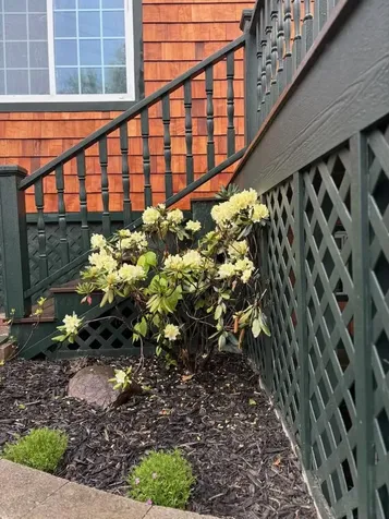 94 Lakeshore Drive Northwood NH 03261