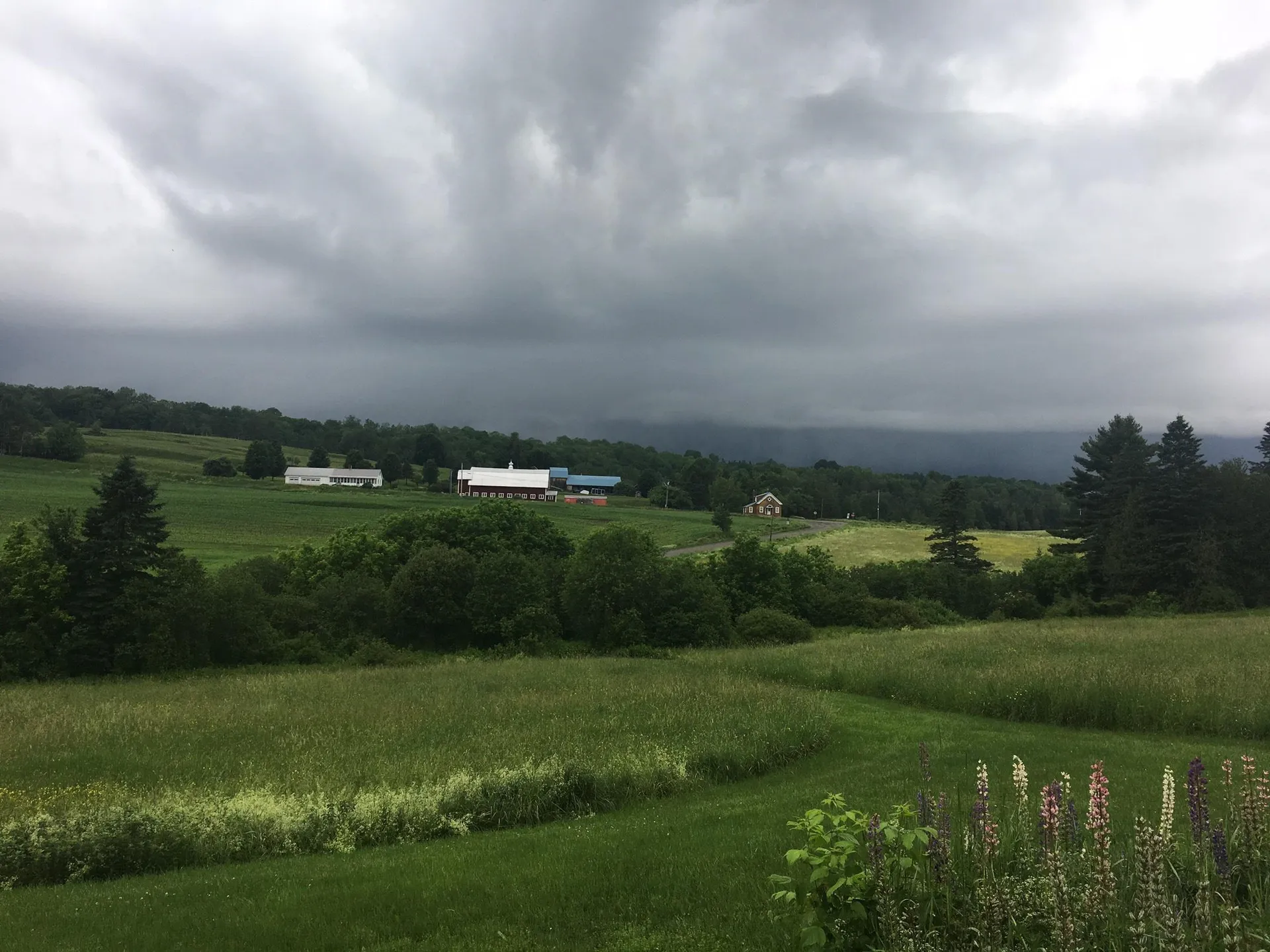 199 Hardwick Farms Road Hardwick VT 05836-9763